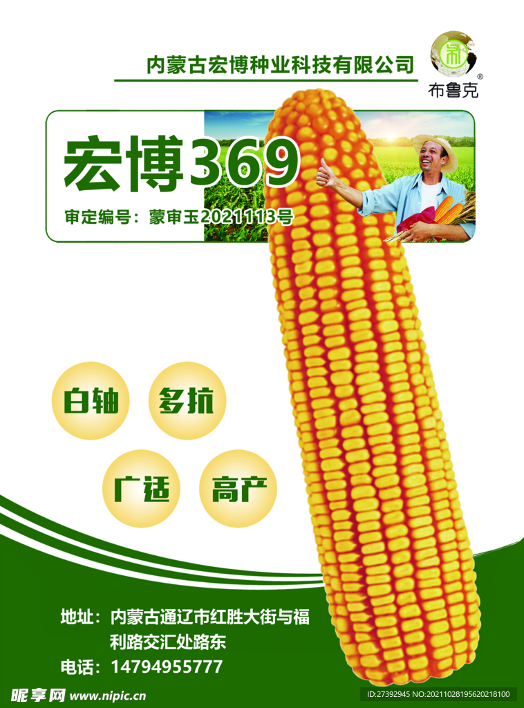 玉米传单