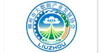 柳州市大数据产业发展协会DAT