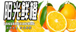 阳光鲜橙