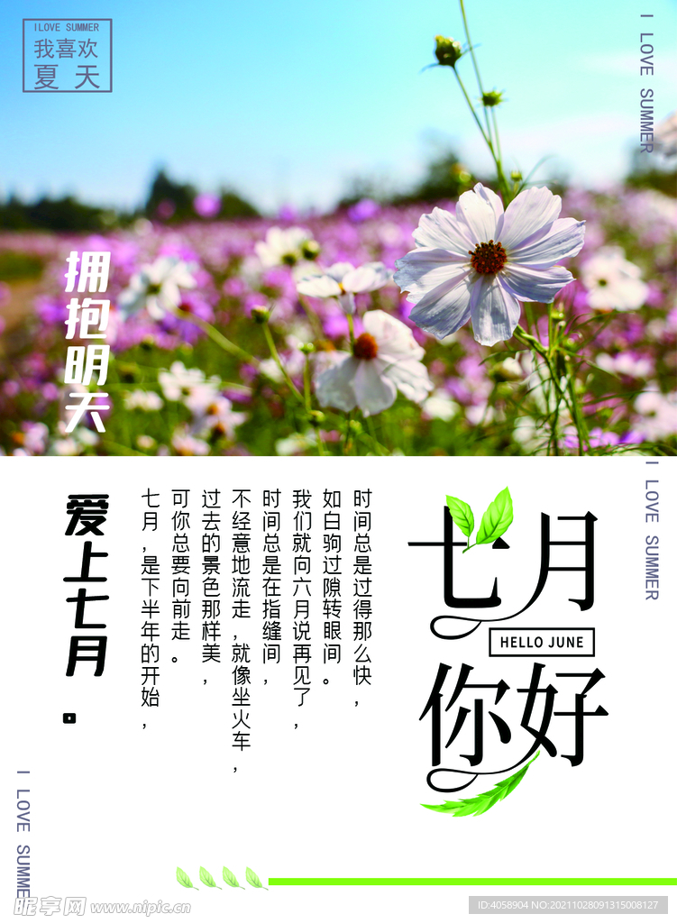 七月你好