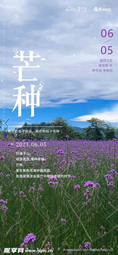芒种海报