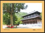 风景画  相框   展示  
