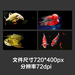 淘宝宝贝主图轮播banner