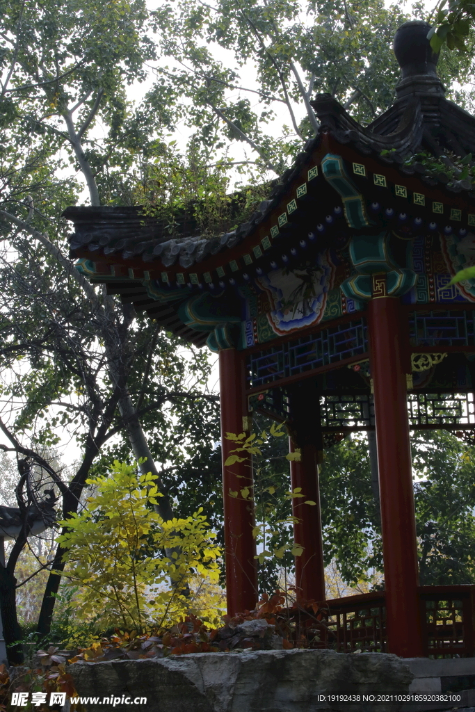 龙潭中湖风景 