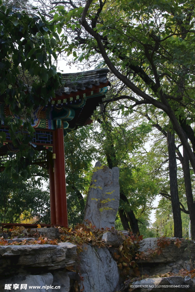 龙潭中湖风景