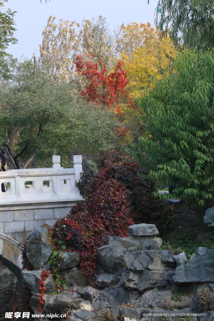 龙潭中湖风景 