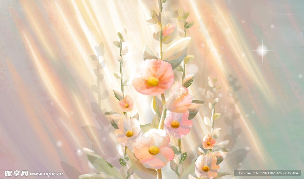 绚丽的花朵