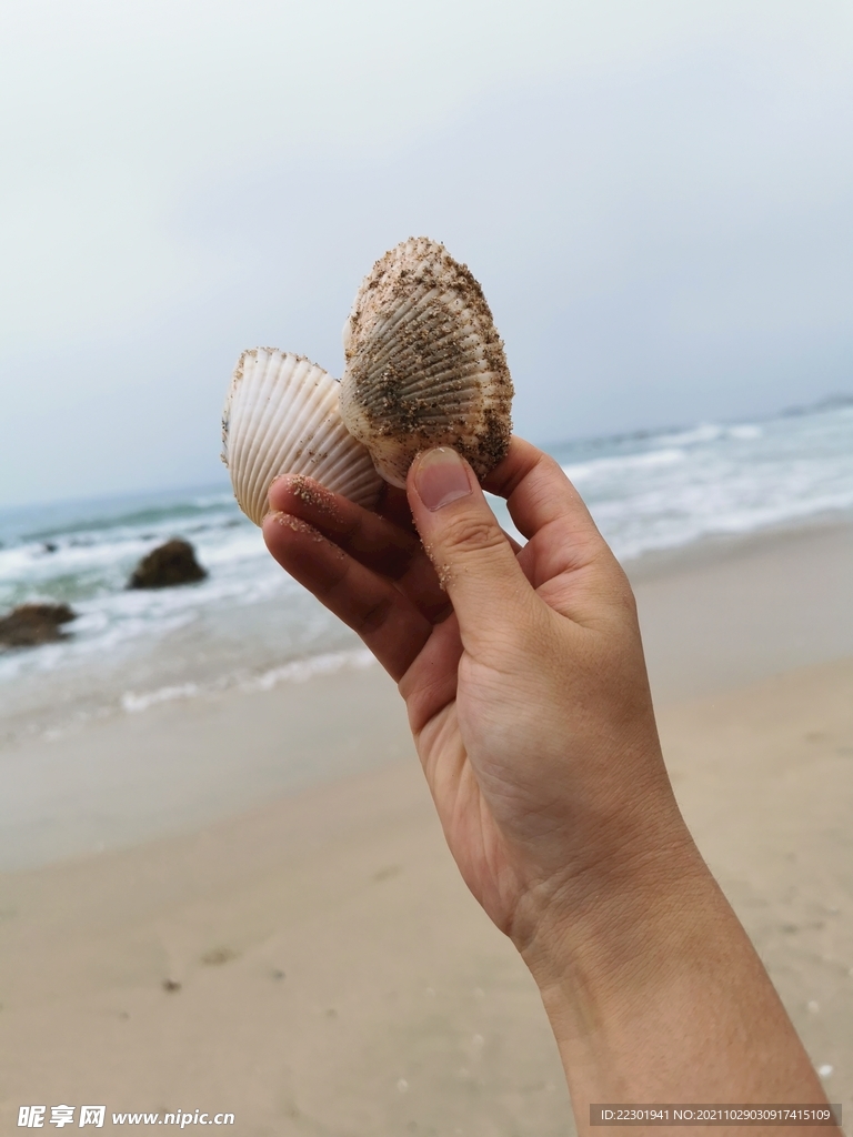 海边 大海 