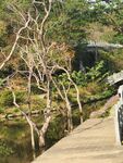爬山