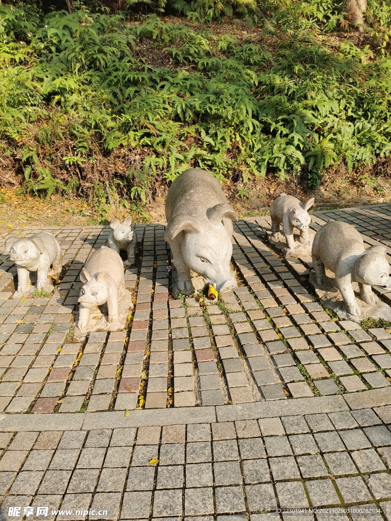 雕刻猪