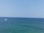 大海