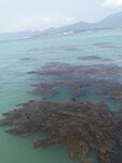 海边 大海 海水