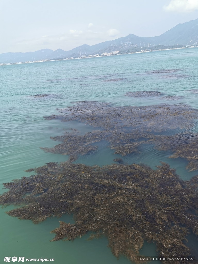 海边 大海 海水