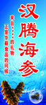 海参喷绘