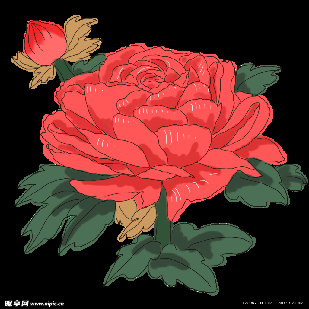 中国风手绘花卉插图