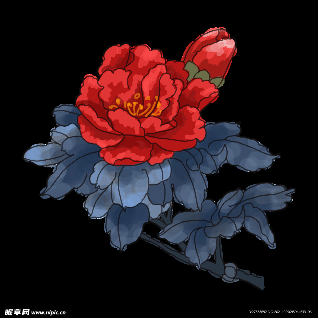 中国风手绘牡丹花卉插图