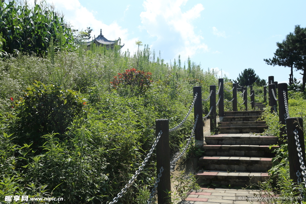 乡村旅游摄影栈道