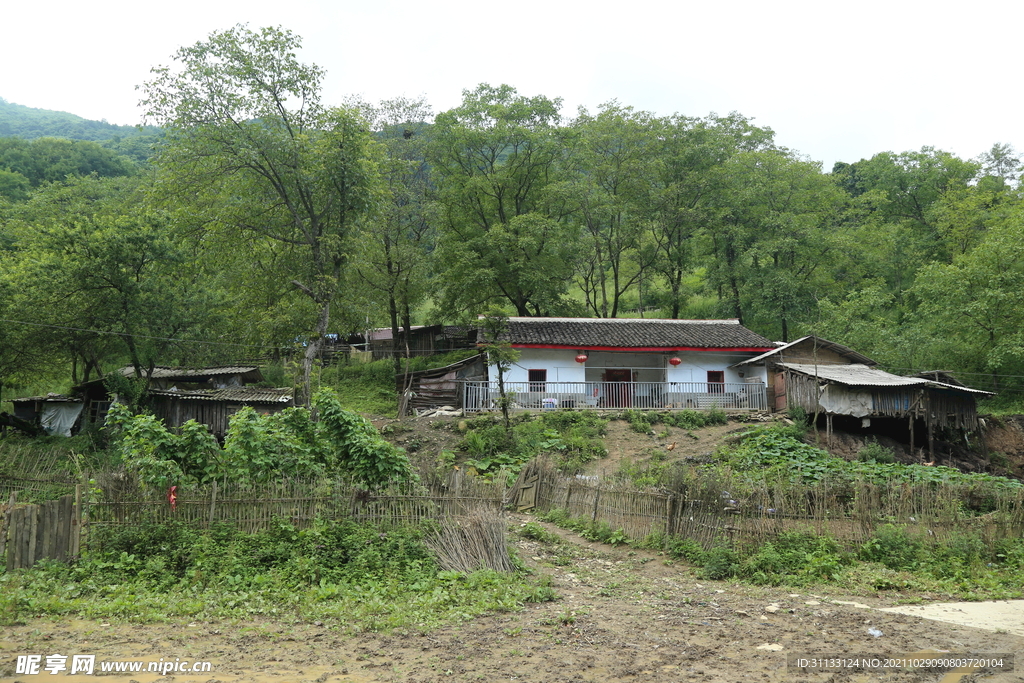 乡村旅游摄影农家