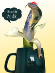 蛇