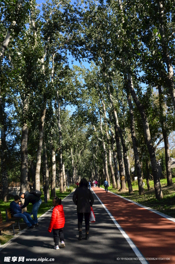 龙潭中湖风景 