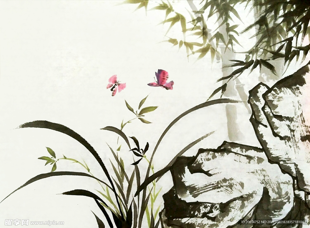兰花竹