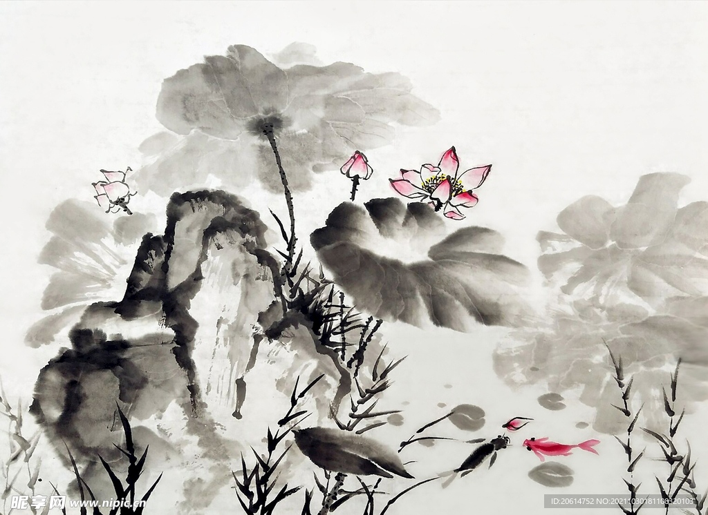中国风水墨画荷花