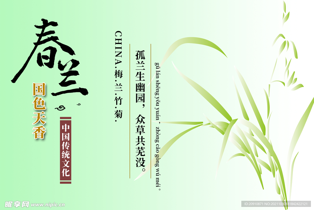 春兰