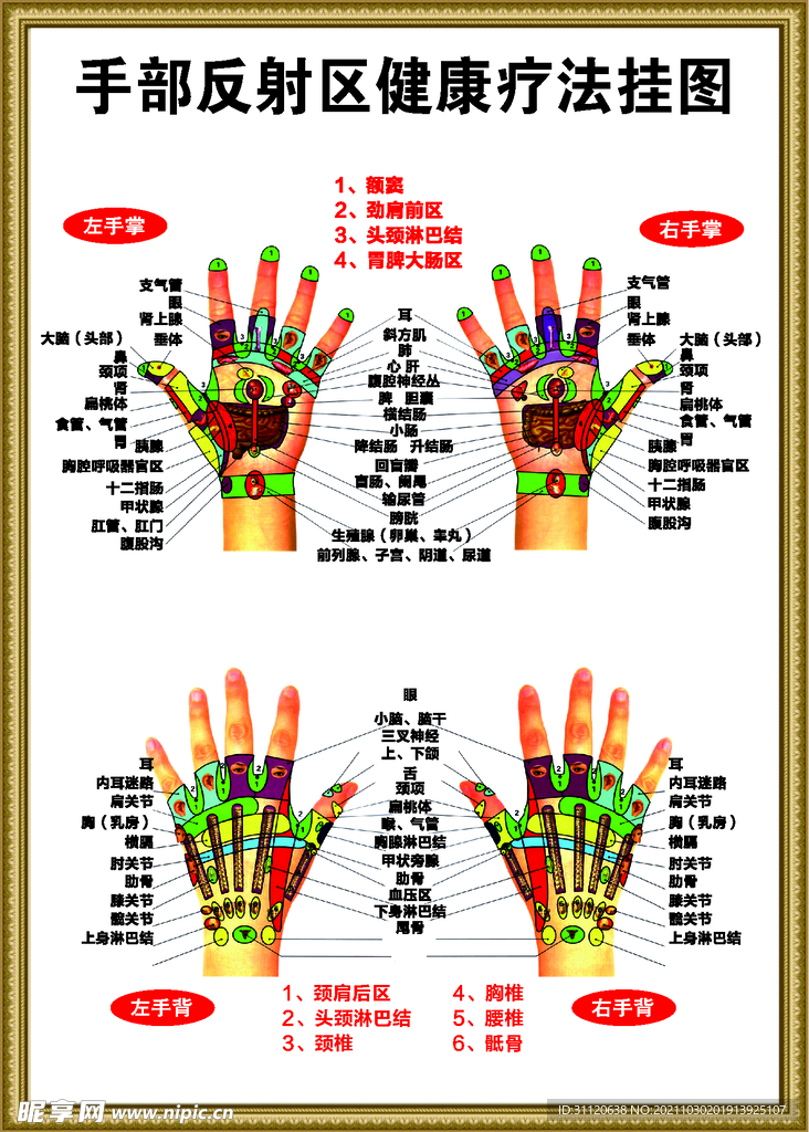 手部反射区健康疗法挂图