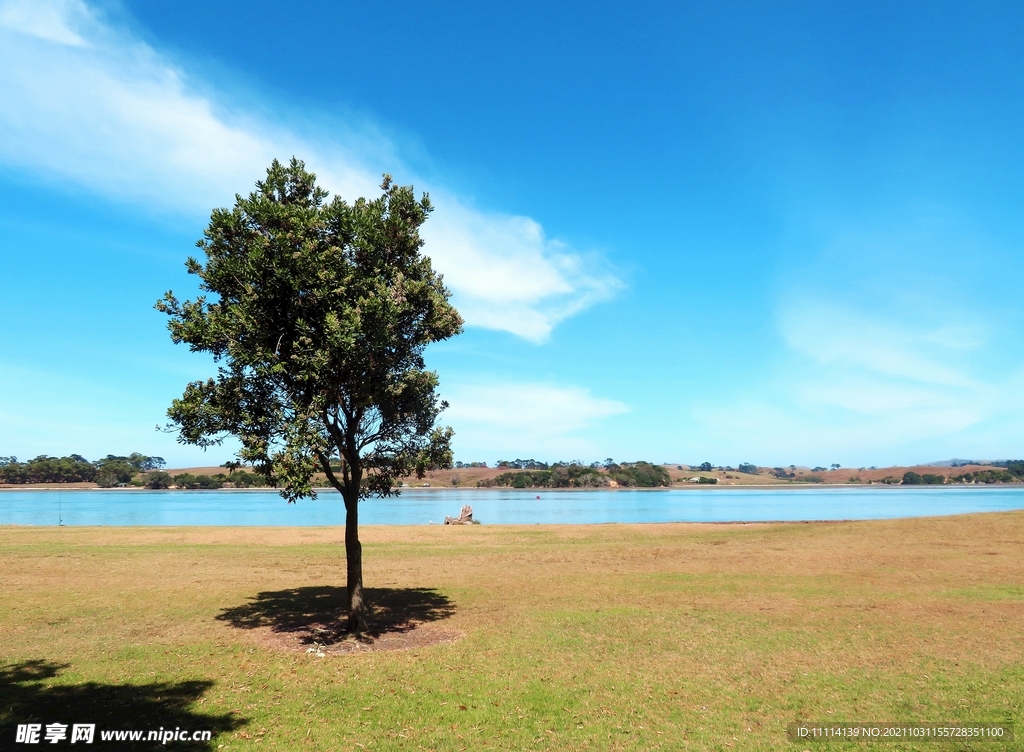 奥克兰海滨自然风景