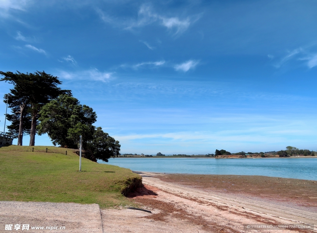 奥克兰海滨自然风景