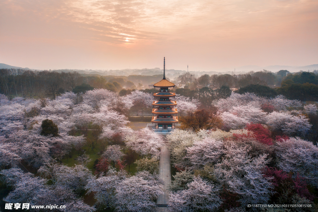 风景背景