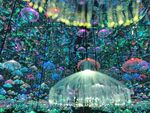 星空馆