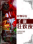 圣诞狂欢夜