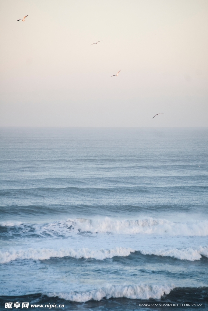 海景 
