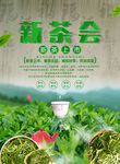 茶叶海报