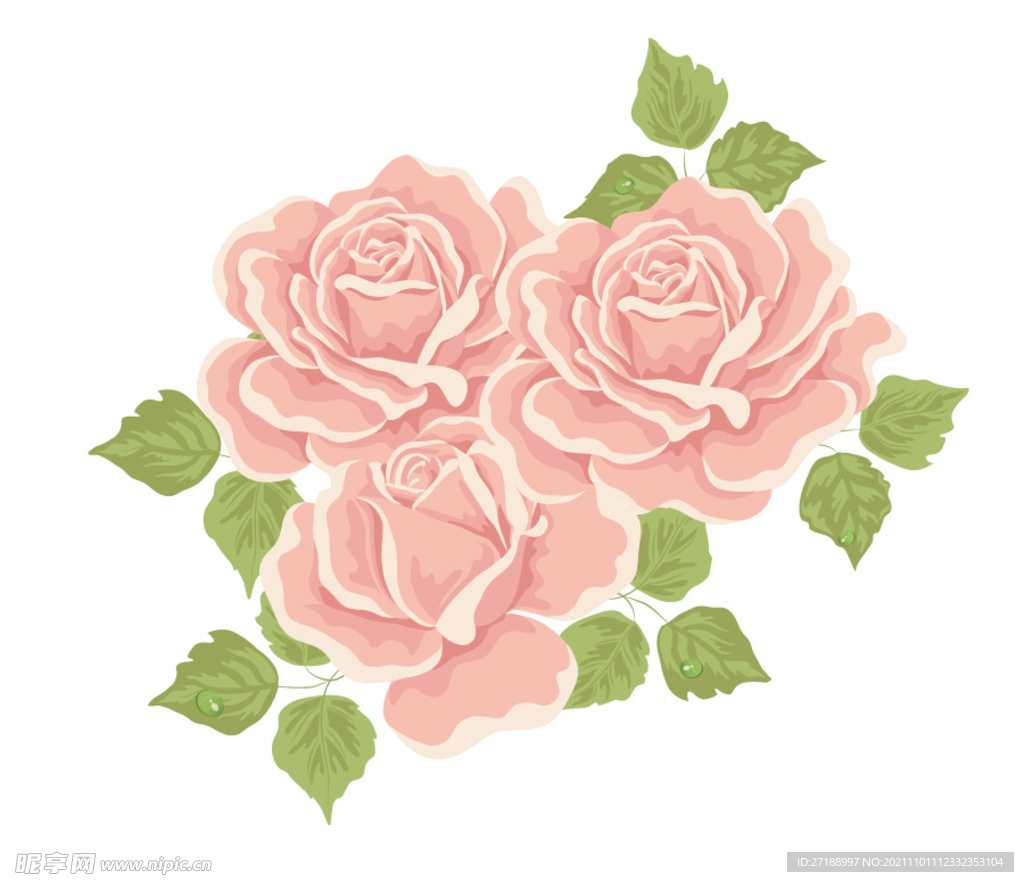 芙蓉花