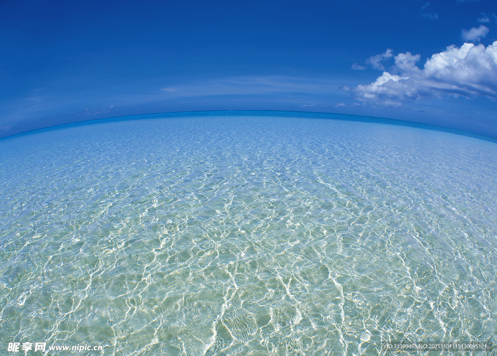 海边背景           