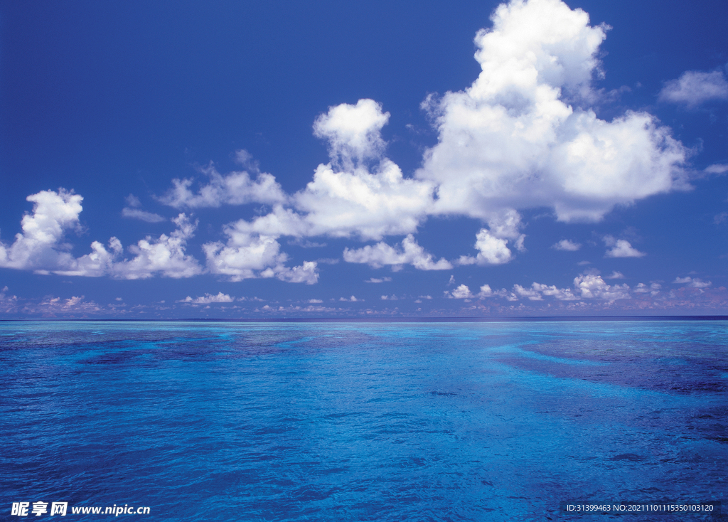 海边背景           