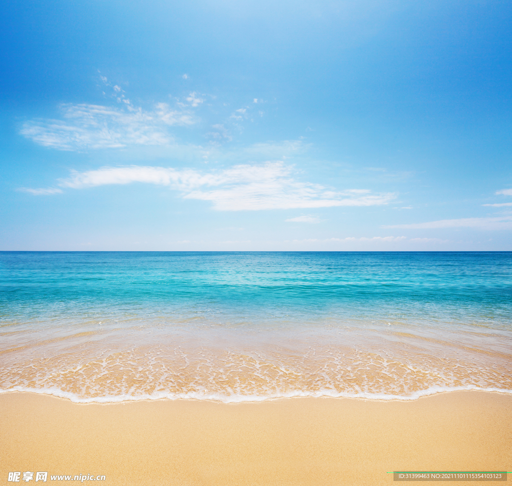 海边背景           