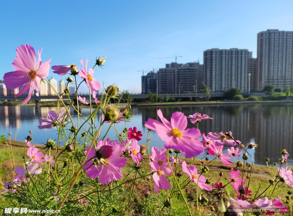 城市一隅