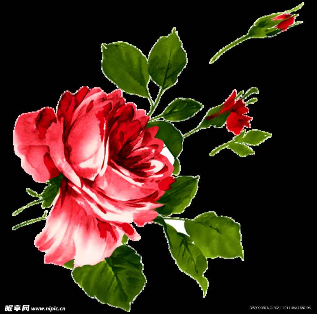 花朵素材