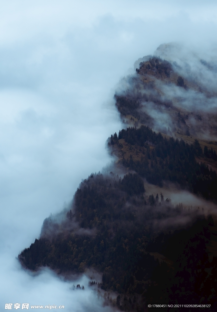 山林