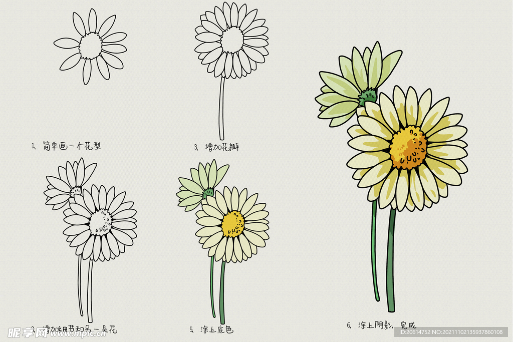 菊花画画教程