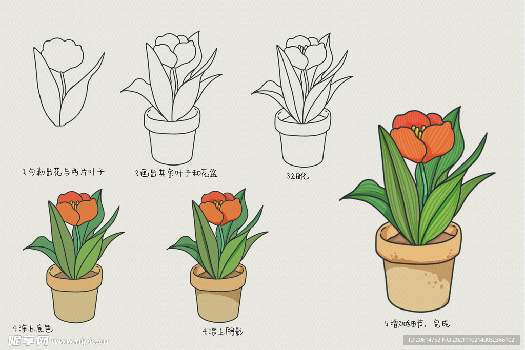 花朵画画教程