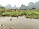 桂林山水 