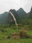 桂林山水