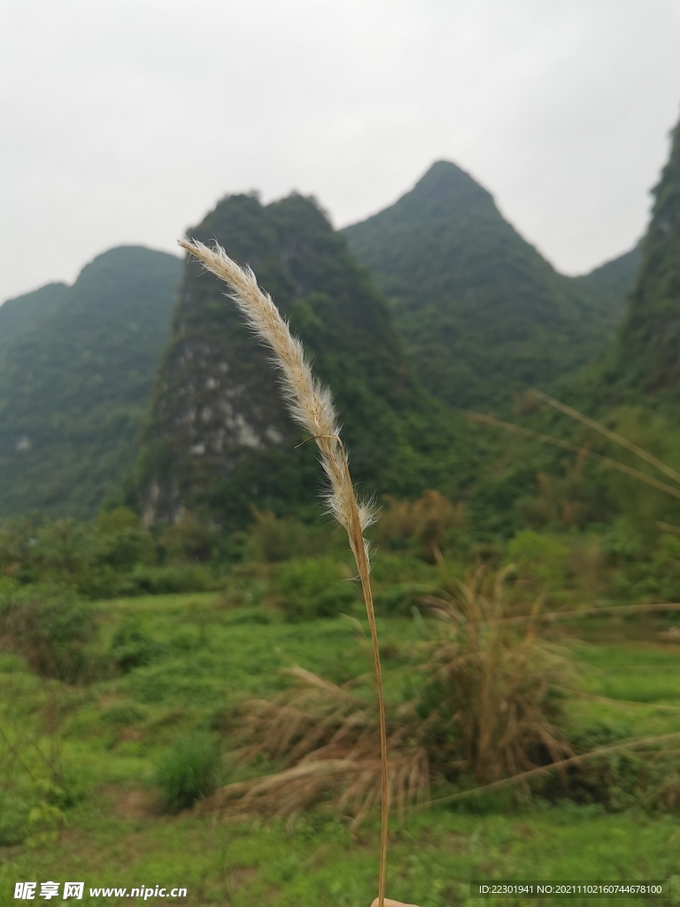 桂林山水