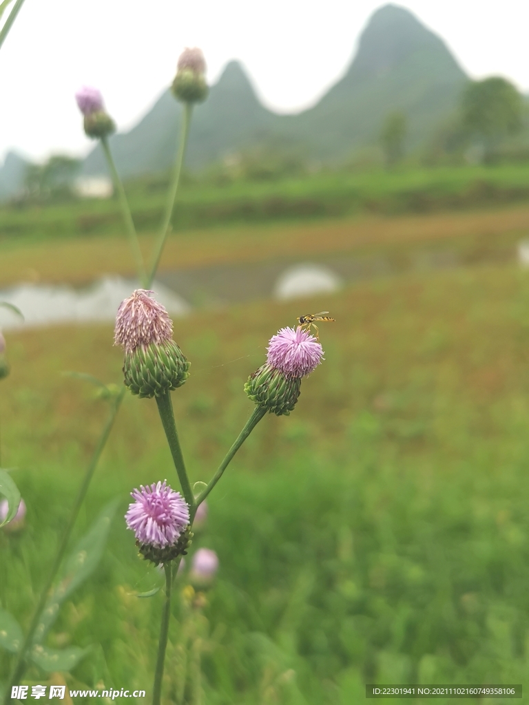 桂林山水 