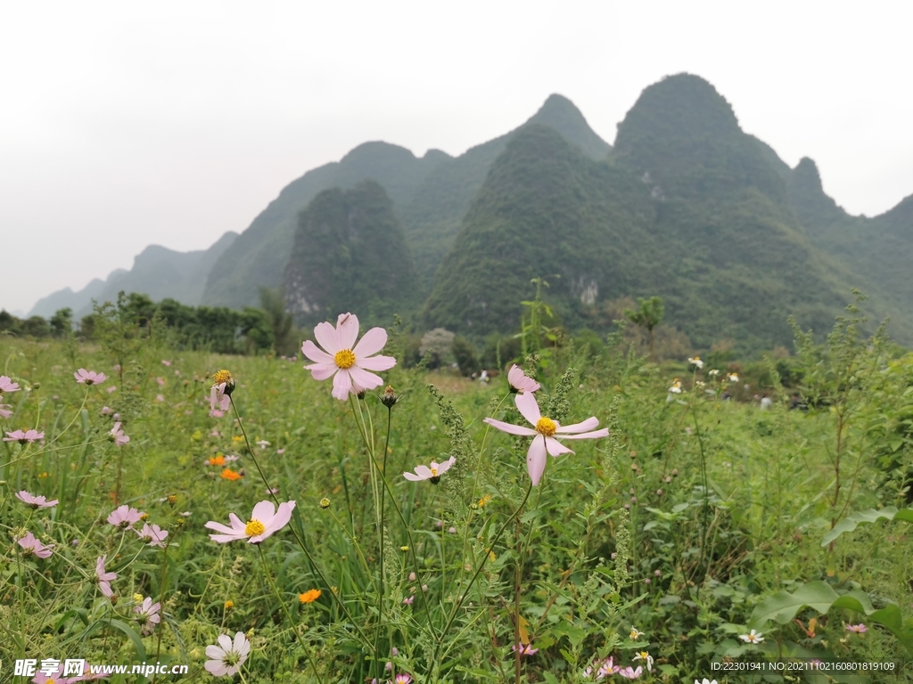 桂林山水 