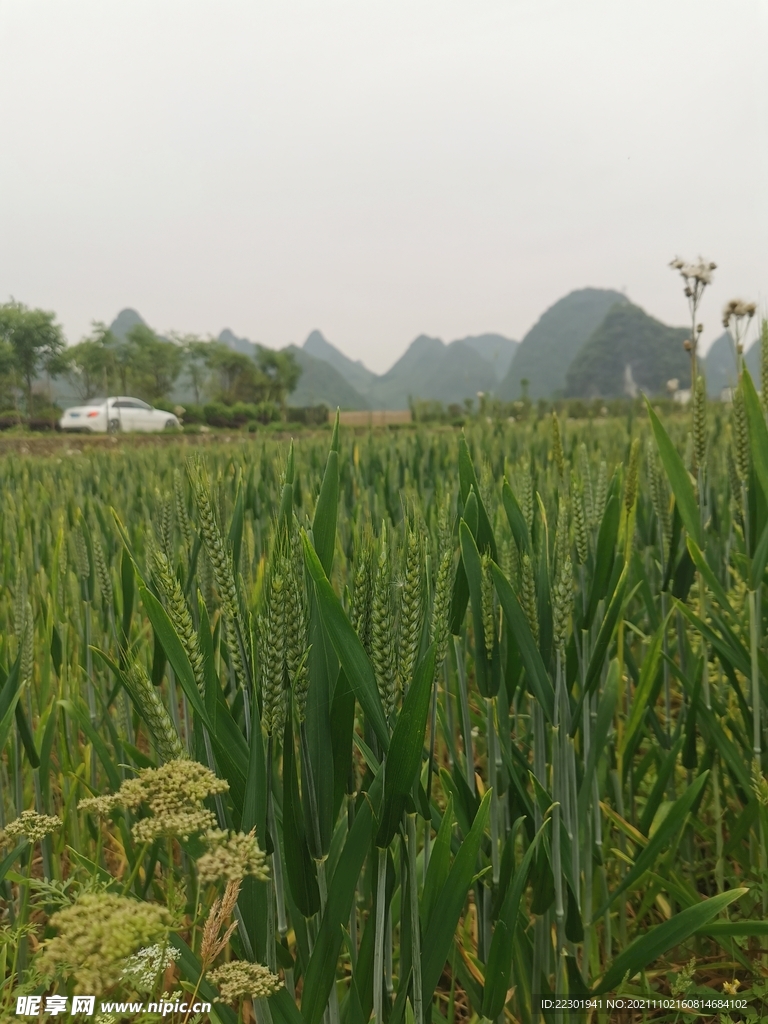 桂林山水 